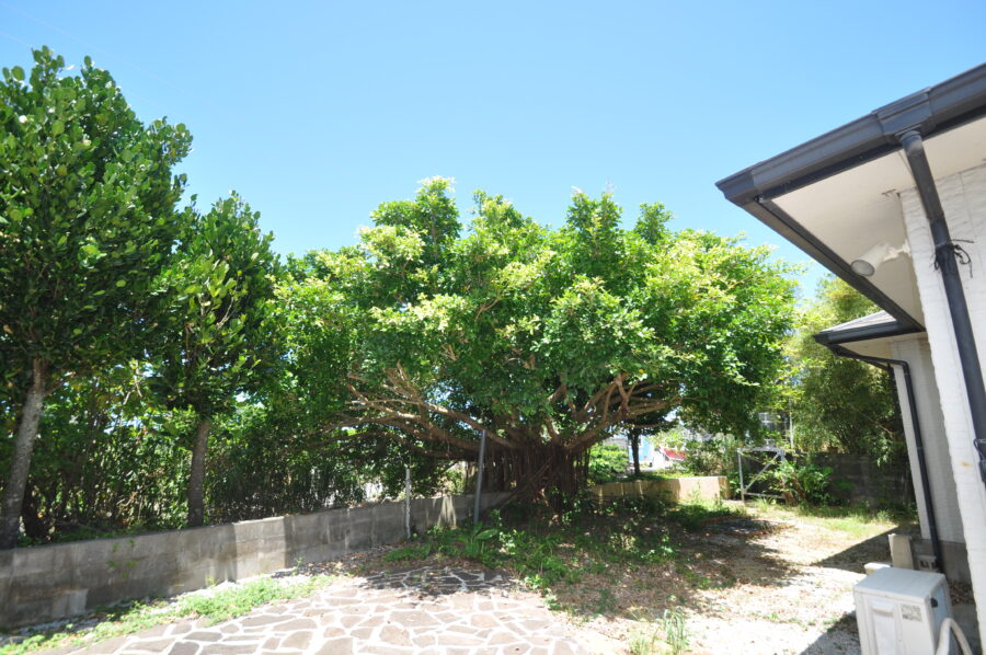 沖縄県恩納村賃貸戸建て